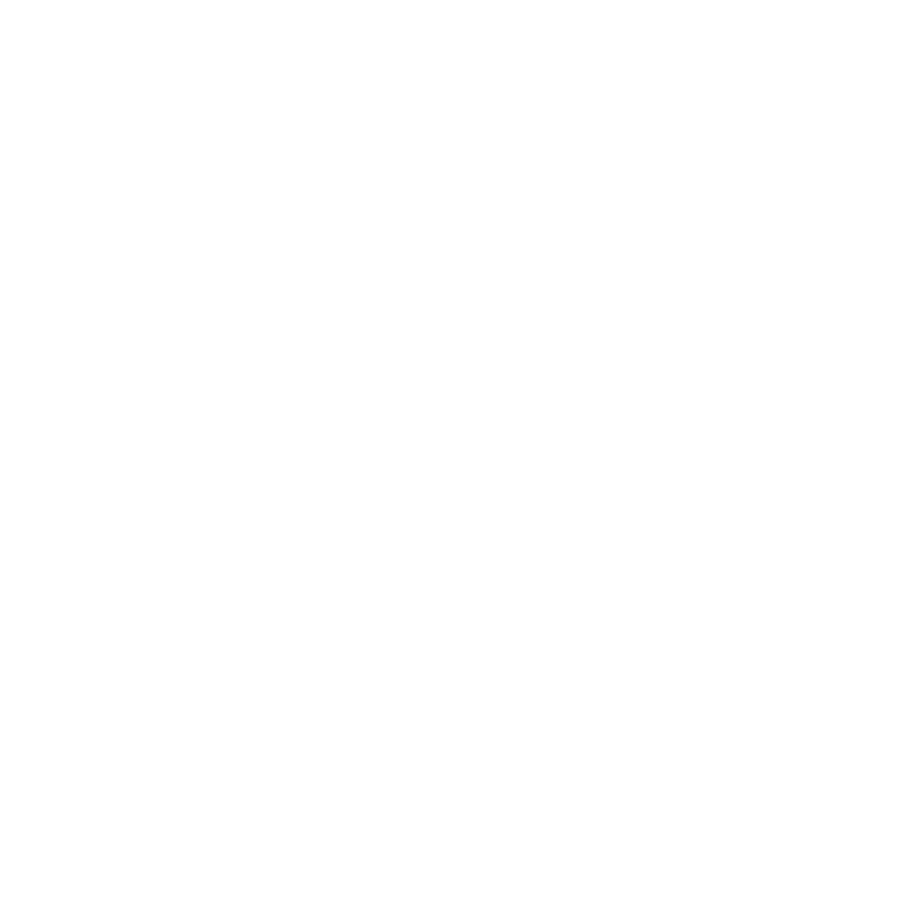 Oikos Paint logo