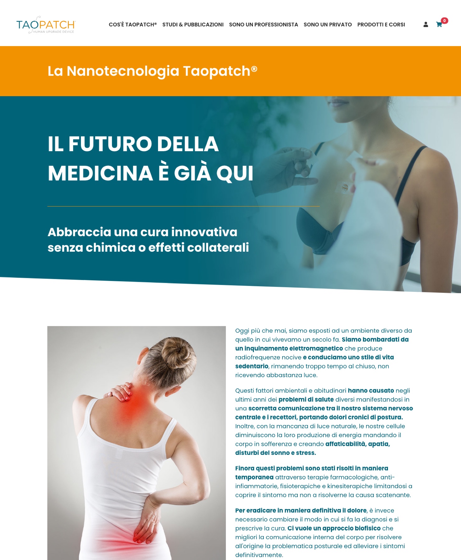 Corporate page on Taopatch nanotechnology