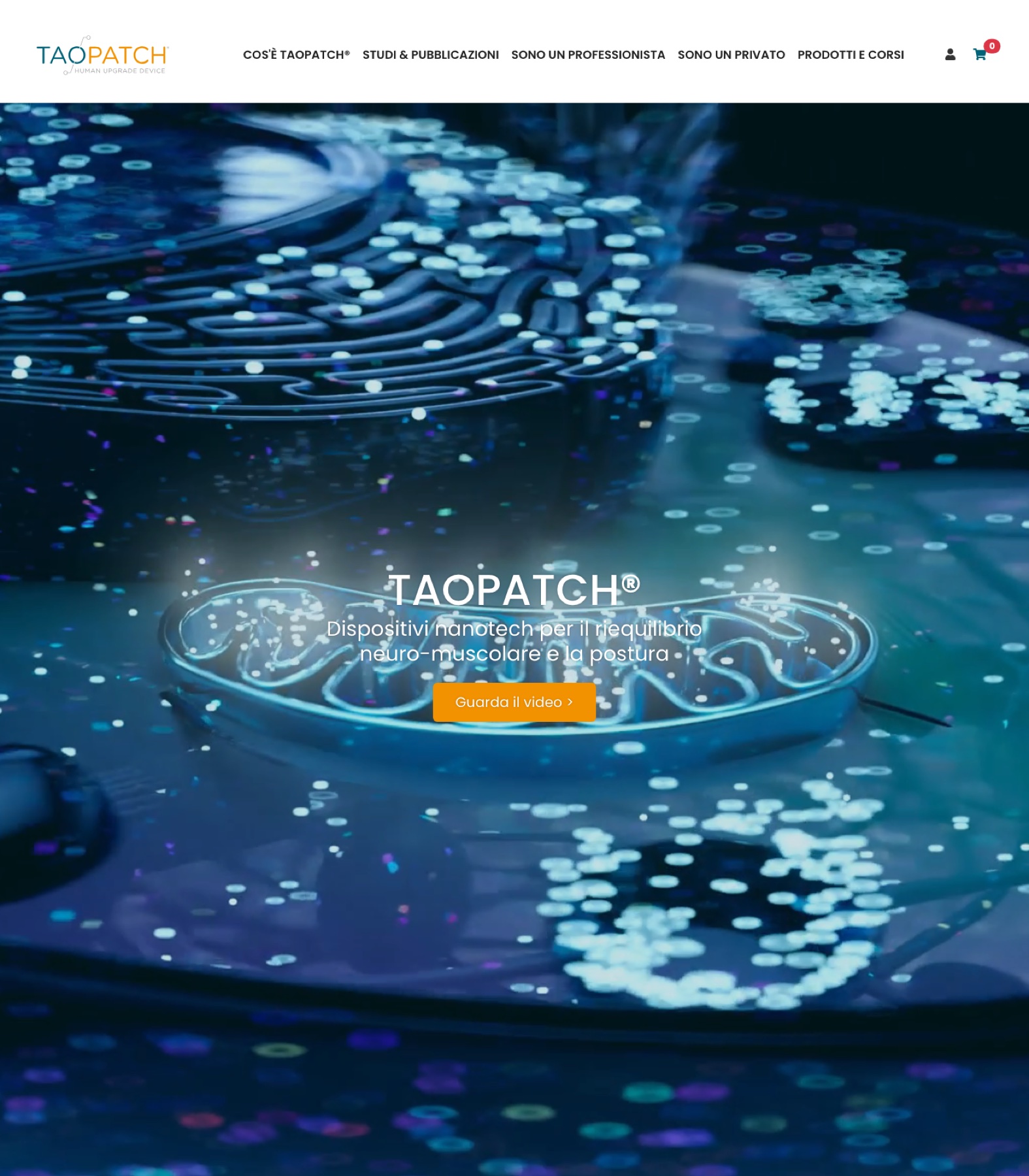 Homepage of the Taopatch website, international e-commerce